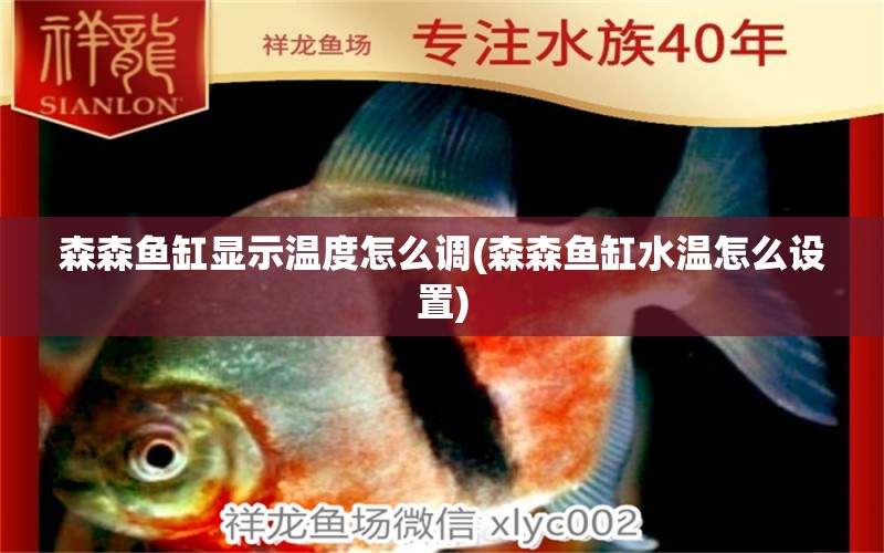 森森魚缸顯示溫度怎么調(diào)(森森魚缸水溫怎么設置) 福魟魟魚