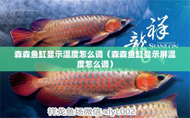 森森魚缸顯示溫度怎么調(diào)（森森魚缸顯示屏溫度怎么調(diào)） 祥龍水族醫(yī)院