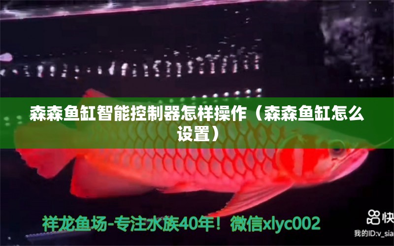 森森魚缸智能控制器怎樣操作（森森魚缸怎么設(shè)置）