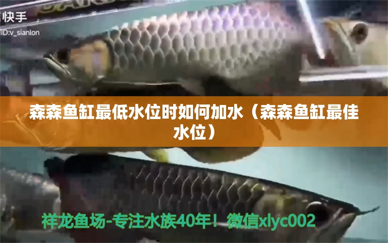 森森魚缸最低水位時(shí)如何加水（森森魚缸最佳水位）