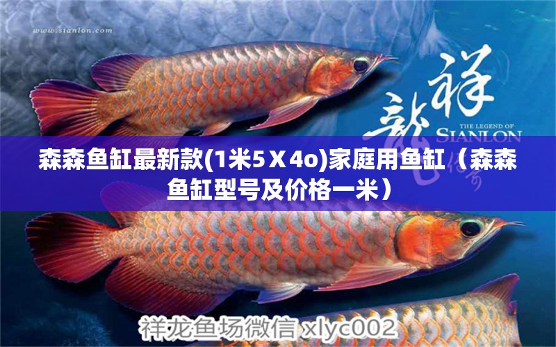 森森魚缸最新款(1米5Ⅹ4o)家庭用魚缸（森森魚缸型號及價格一米） 黃金斑馬魚