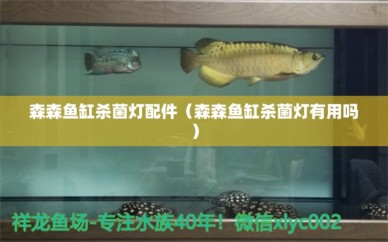 森森魚(yú)缸殺菌燈配件（森森魚(yú)缸殺菌燈有用嗎）