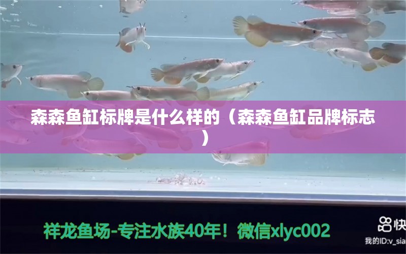 森森魚缸標(biāo)牌是什么樣的（森森魚缸品牌標(biāo)志）