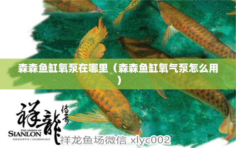 森森魚缸氧泵在哪里（森森魚缸氧氣泵怎么用）