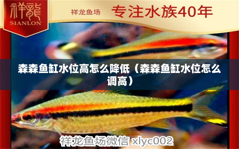 森森魚缸水位高怎么降低（森森魚缸水位怎么調(diào)高）