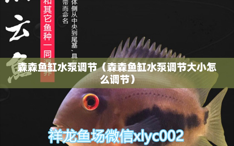 森森魚缸水泵調(diào)節(jié)（森森魚缸水泵調(diào)節(jié)大小怎么調(diào)節(jié)）