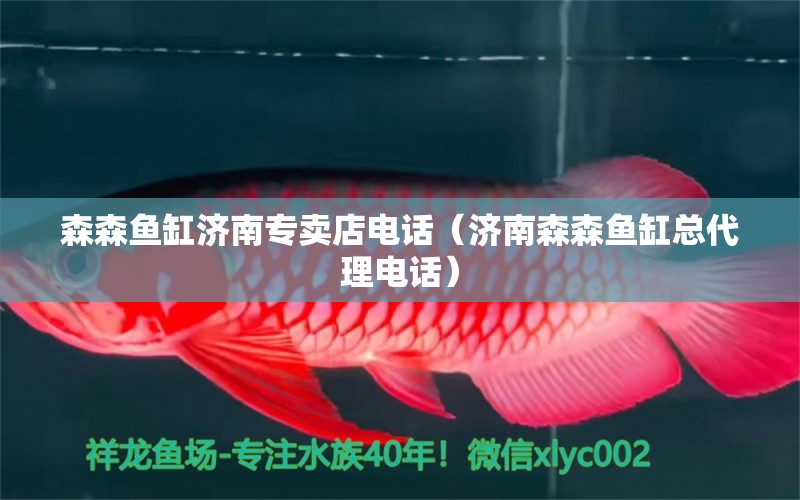 森森魚缸濟南專賣店電話（濟南森森魚缸總代理電話）