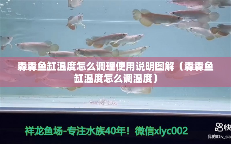 森森魚缸溫度怎么調(diào)理使用說明圖解（森森魚缸溫度怎么調(diào)溫度） 廣州龍魚批發(fā)市場