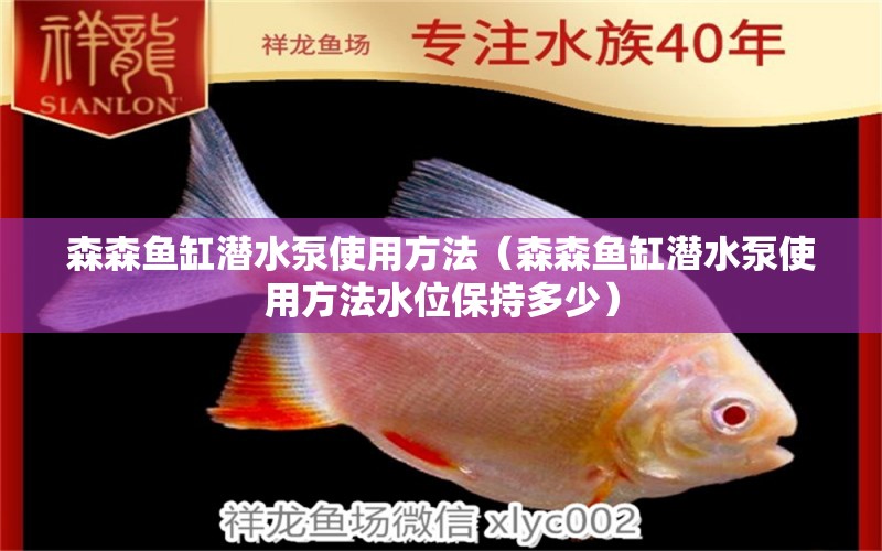 森森魚缸潛水泵使用方法（森森魚缸潛水泵使用方法水位保持多少） 過濾設(shè)備