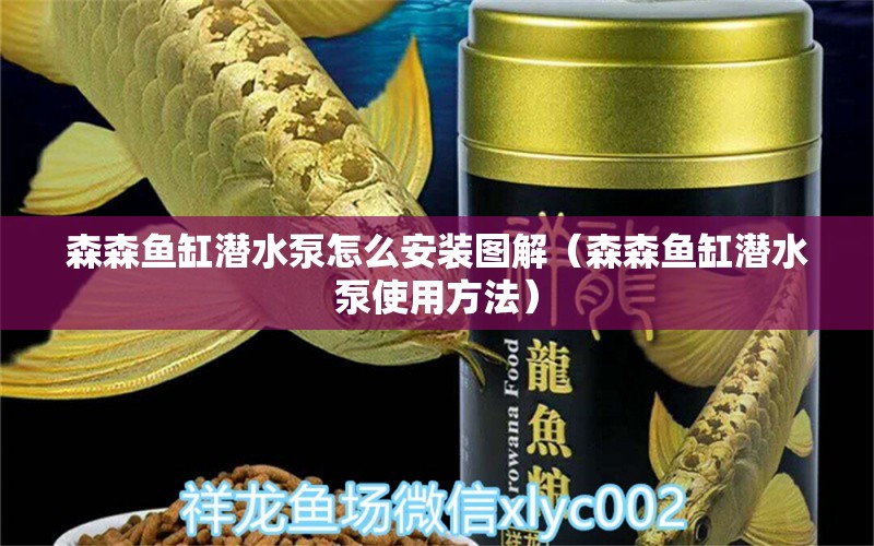 森森魚缸潛水泵怎么安裝圖解（森森魚缸潛水泵使用方法） 過濾設(shè)備