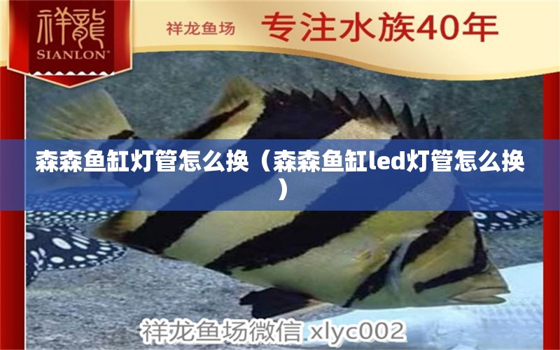 森森魚缸燈管怎么換（森森魚缸led燈管怎么換）