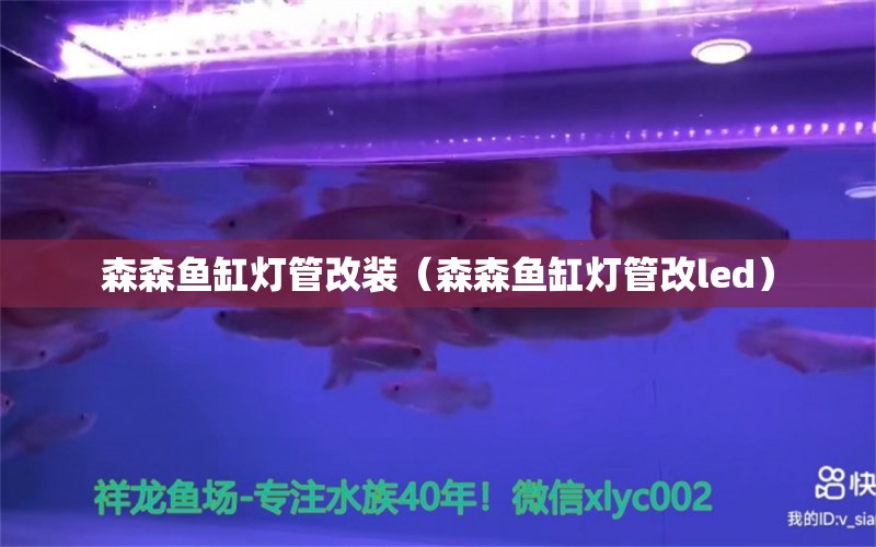 森森魚缸燈管改裝（森森魚缸燈管改led） 斑馬鴨嘴魚苗