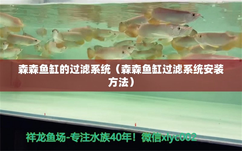 森森魚缸的過濾系統(tǒng)（森森魚缸過濾系統(tǒng)安裝方法）