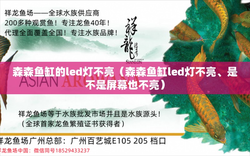 森森魚缸的led燈不亮（森森魚缸led燈不亮、是不是屏幕也不亮） 祥龍水族醫(yī)院