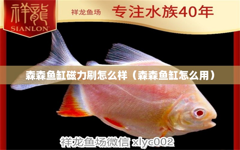 森森魚缸磁力刷怎么樣（森森魚缸怎么用） 森森魚缸