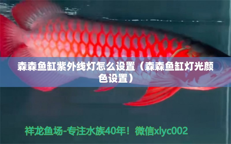 森森魚缸紫外線燈怎么設(shè)置（森森魚缸燈光顏色設(shè)置） 森森魚缸