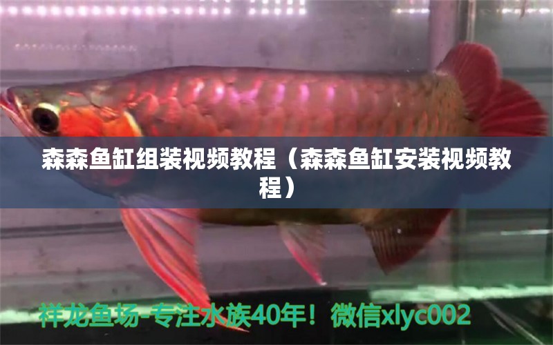 森森魚(yú)缸組裝視頻教程（森森魚(yú)缸安裝視頻教程）