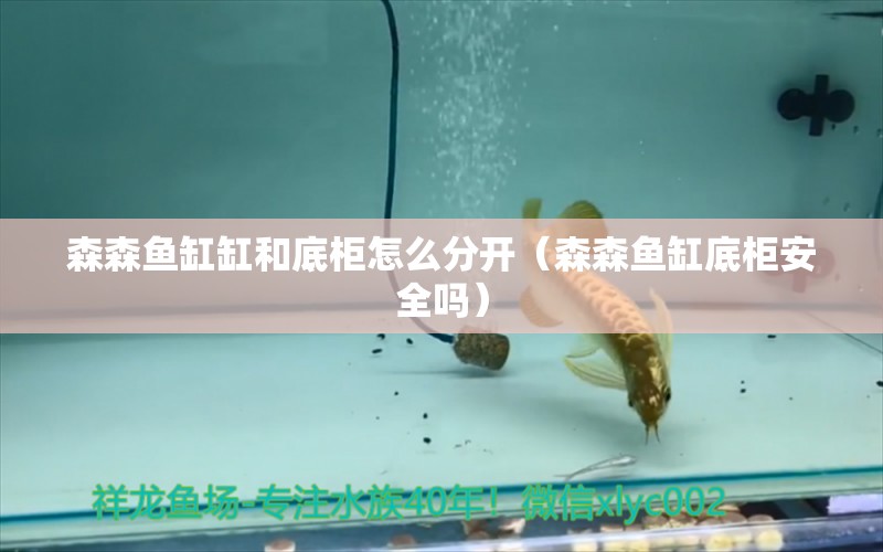 森森魚缸缸和底柜怎么分開（森森魚缸底柜安全嗎） 森森魚缸