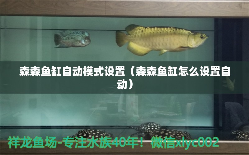 森森魚(yú)缸自動(dòng)模式設(shè)置（森森魚(yú)缸怎么設(shè)置自動(dòng)）