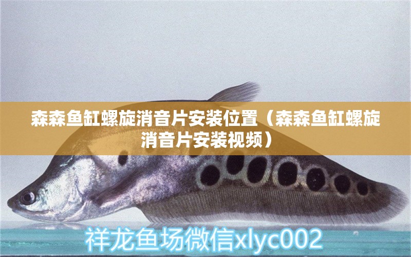 森森魚缸螺旋消音片安裝位置（森森魚缸螺旋消音片安裝視頻）