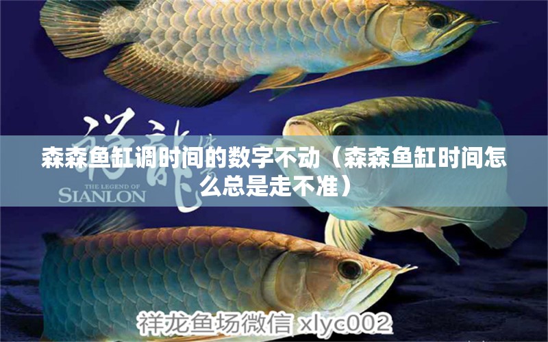 森森魚缸調(diào)時間的數(shù)字不動（森森魚缸時間怎么總是走不準）