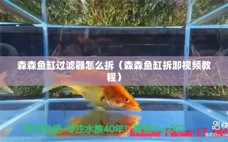 森森魚缸過(guò)濾器怎么拆（森森魚缸拆卸視頻教程）