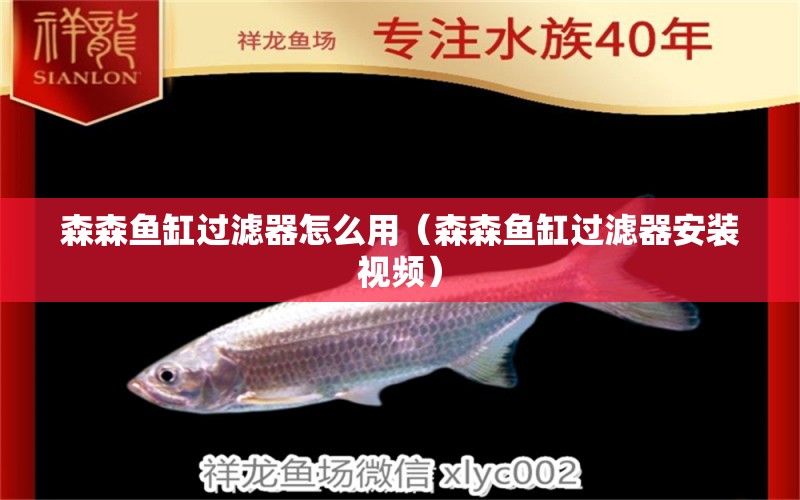 森森魚缸過濾器怎么用（森森魚缸過濾器安裝視頻） 過濾設(shè)備