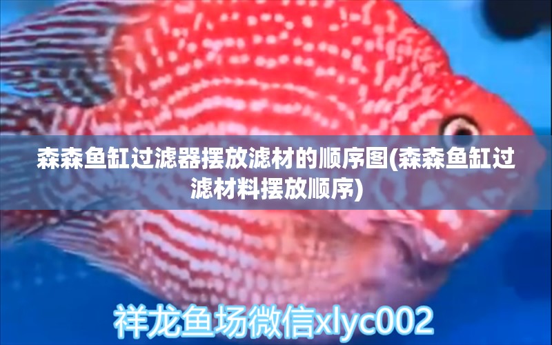 森森魚(yú)缸過(guò)濾器擺放濾材的順序圖(森森魚(yú)缸過(guò)濾材料擺放順序) 大日玉鯖魚(yú)