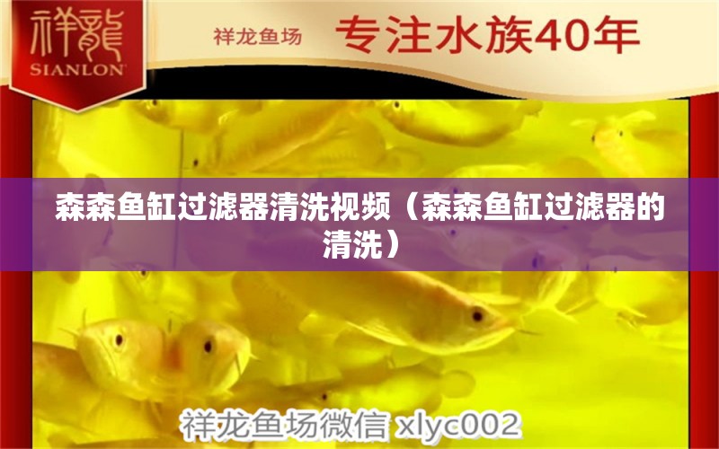 森森魚缸過(guò)濾器清洗視頻（森森魚缸過(guò)濾器的清洗）