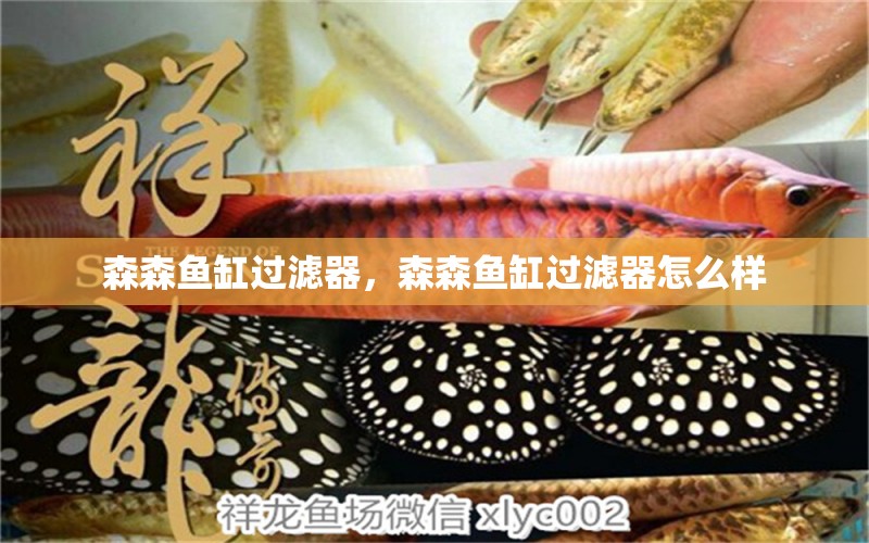 森森魚缸過(guò)濾器，森森魚缸過(guò)濾器怎么樣