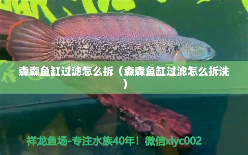 森森魚缸過濾怎么拆（森森魚缸過濾怎么拆洗）