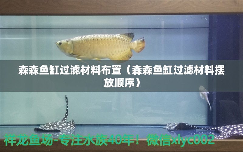 森森魚缸過(guò)濾材料布置（森森魚缸過(guò)濾材料擺放順序）