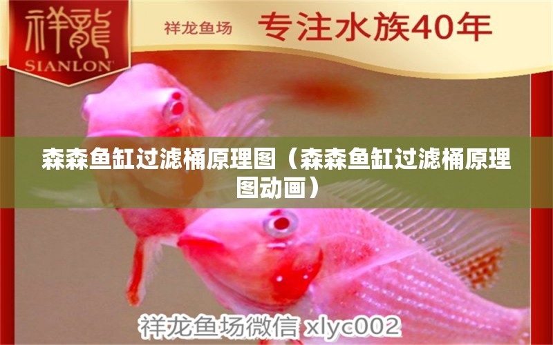 森森魚缸過濾桶原理圖（森森魚缸過濾桶原理圖動畫）