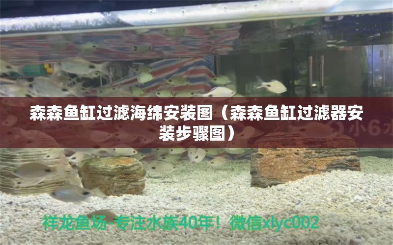 森森魚缸過濾海綿安裝圖（森森魚缸過濾器安裝步驟圖） 廣州龍魚批發(fā)市場