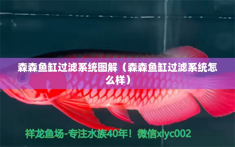 森森魚(yú)缸過(guò)濾系統(tǒng)圖解（森森魚(yú)缸過(guò)濾系統(tǒng)怎么樣）