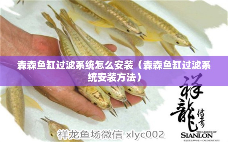 森森魚缸過濾系統(tǒng)怎么安裝（森森魚缸過濾系統(tǒng)安裝方法） 過濾設(shè)備