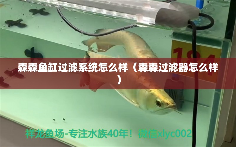 森森魚(yú)缸過(guò)濾系統(tǒng)怎么樣（森森過(guò)濾器怎么樣）