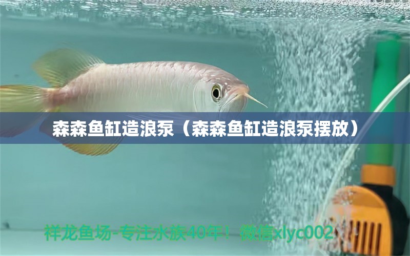 森森魚缸造浪泵（森森魚缸造浪泵擺放） 森森魚缸