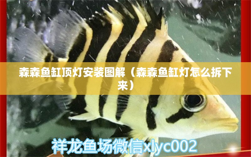 森森魚缸頂燈安裝圖解（森森魚缸燈怎么拆下來）