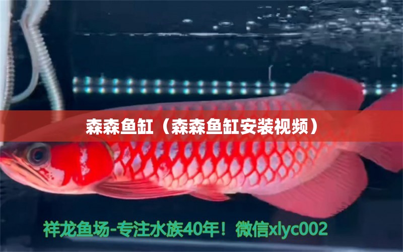 森森魚缸（森森魚缸安裝視頻） iwish愛唯希品牌魚缸