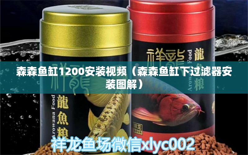 森森魚缸1200安裝視頻（森森魚缸下過濾器安裝圖解） 觀賞魚市場（混養(yǎng)魚）