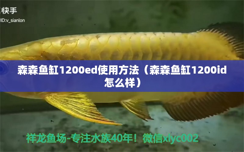 森森魚缸1200ed使用方法（森森魚缸1200id怎么樣）