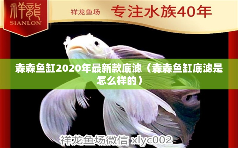 森森魚缸2020年最新款底濾（森森魚缸底濾是怎么樣的）