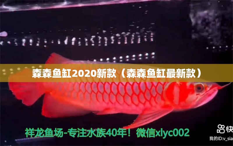 森森魚缸2020新款（森森魚缸最新款） 森森魚缸