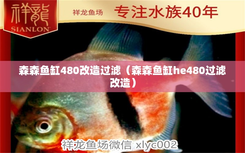 森森魚缸480改造過濾（森森魚缸he480過濾改造）