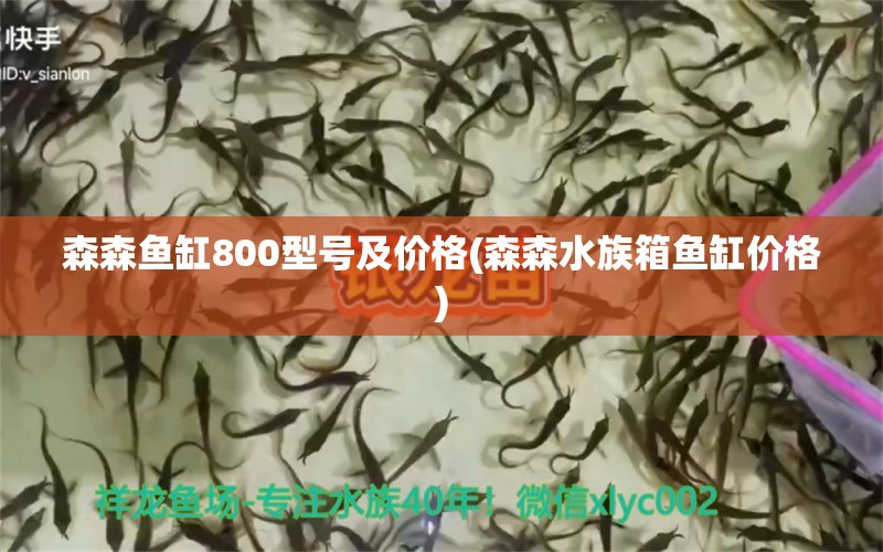 森森魚缸800型號及價格(森森水族箱魚缸價格) 魚缸/水族箱