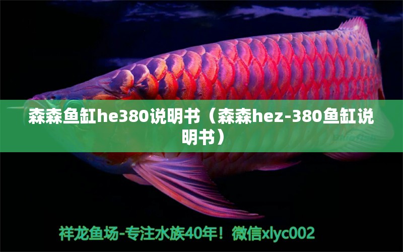 森森魚缸he380說明書（森森h(huán)ez-380魚缸說明書）