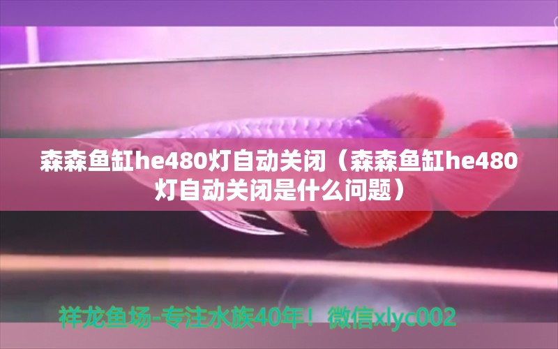 森森魚缸he480燈自動關(guān)閉（森森魚缸he480燈自動關(guān)閉是什么問題） 廣州龍魚批發(fā)市場