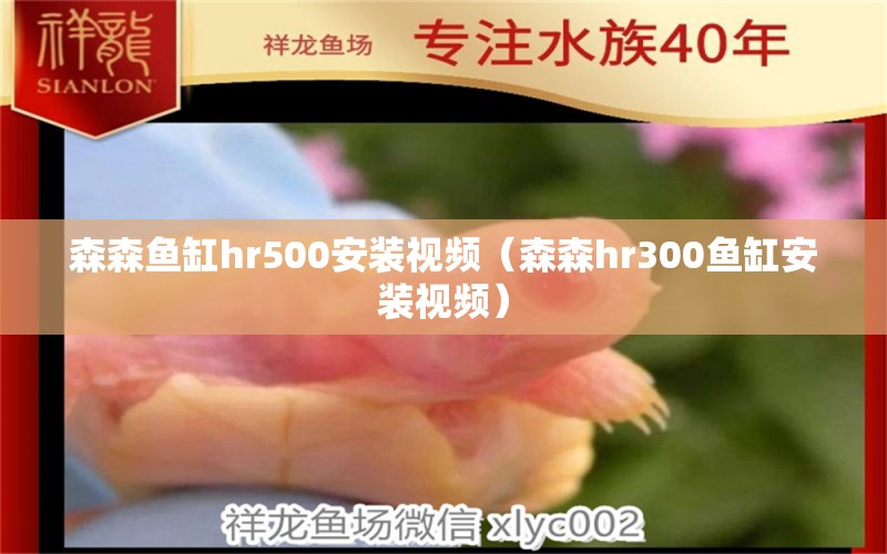 森森魚缸hr500安裝視頻（森森h(huán)r300魚缸安裝視頻） 過濾設(shè)備