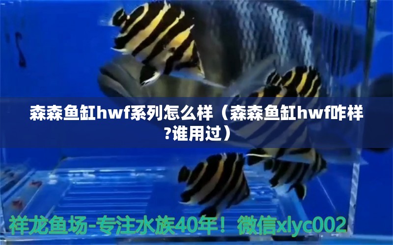 森森魚缸hwf系列怎么樣（森森魚缸hwf咋樣?誰用過） 森森魚缸